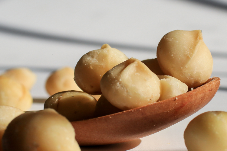 Macadamia-Welt