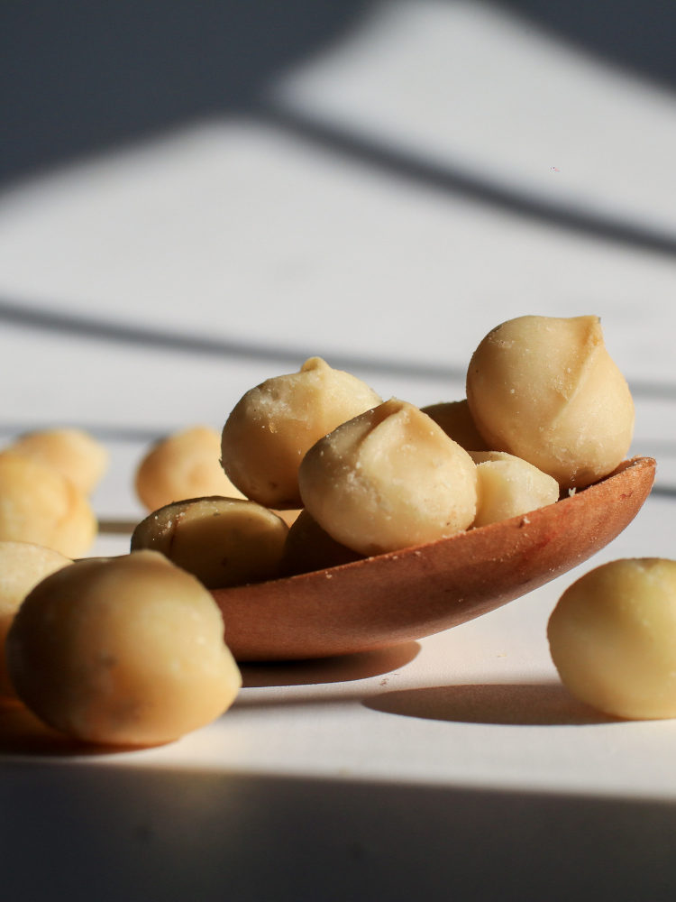 Macadamia geröstet & gesalzen