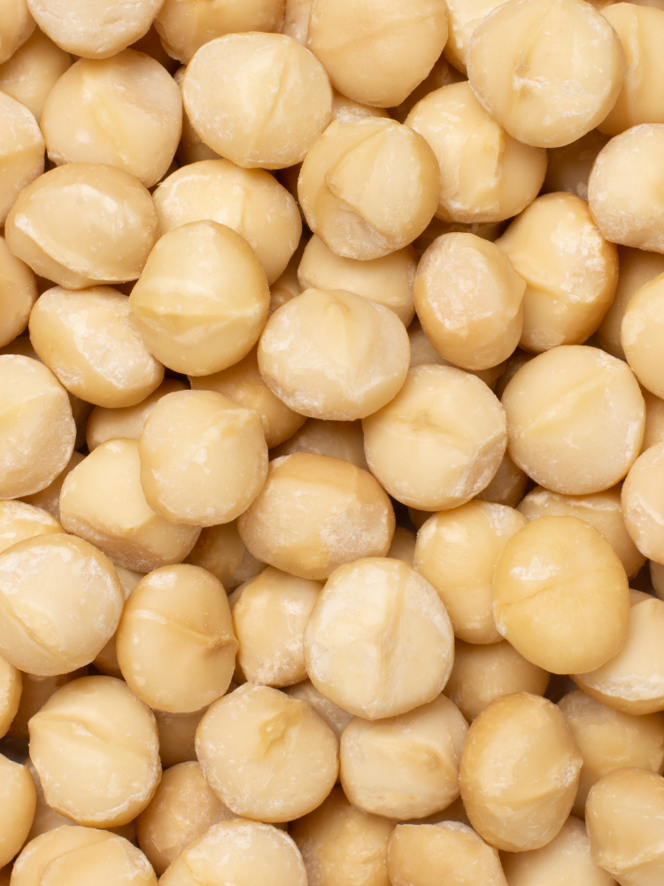 Macadamia geröstet & gesalzen